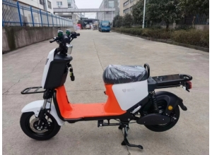 國標車系列